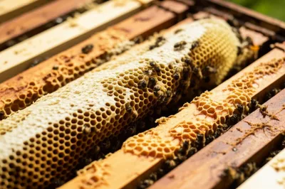 Illustration turnaround - Image 1