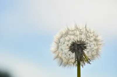 Illustration lite - Image 1