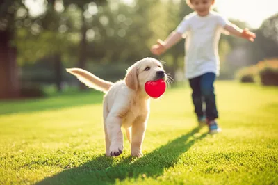 Illustration gotten - Image 1