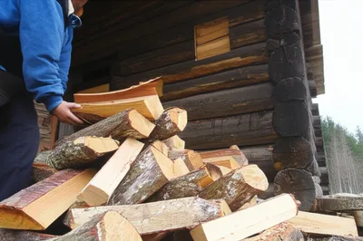 Illustration wood - Image 1