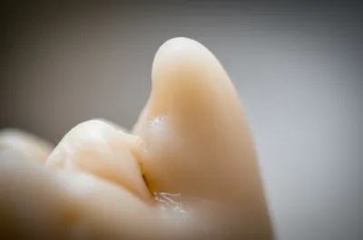 Illustration cusp - Image 1