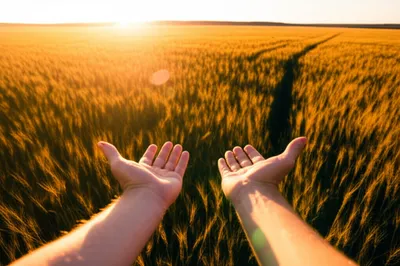 Illustration takes - Image 1