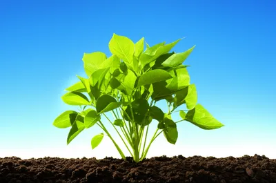 Illustration negative - Image 1