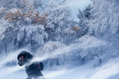 Illustration snap - Image 1