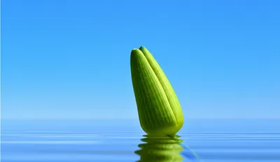 Illustration implicit - Image 1