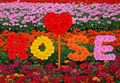 Illustration acrostic - Image 1