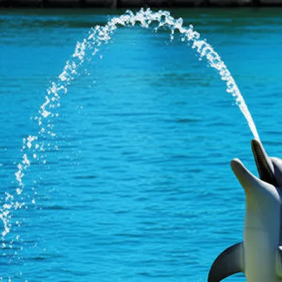 Illustration spouted - Image 1