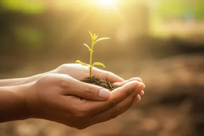 Illustration comfort - Image 1