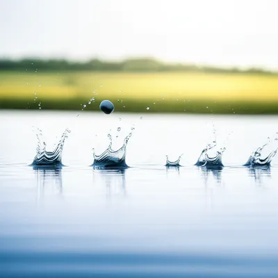 Illustration skimmed - Image 1