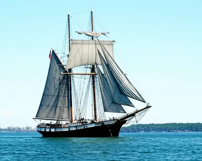 Illustration foresail - Image 1