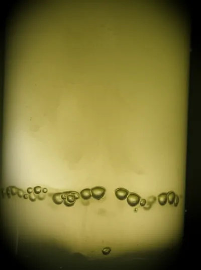 Illustration bile - Image 1