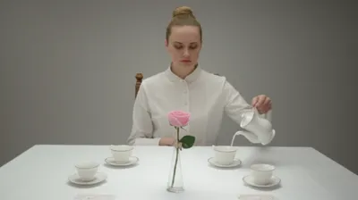 Illustration prim - Image 1