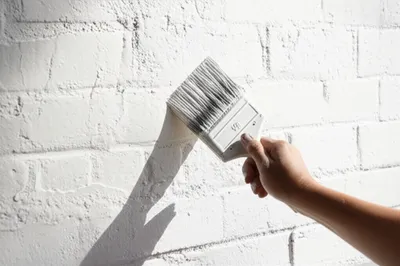 Illustration limed - Image 1