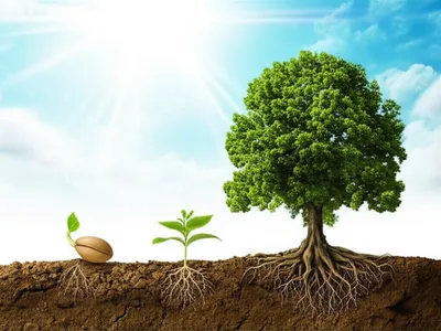 Illustration sleeper - Image 1