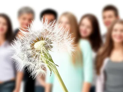 Illustration spreader - Image 1