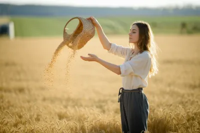 Illustration winnow - Image 1