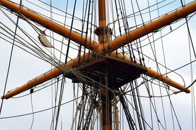 Illustration trestletrees