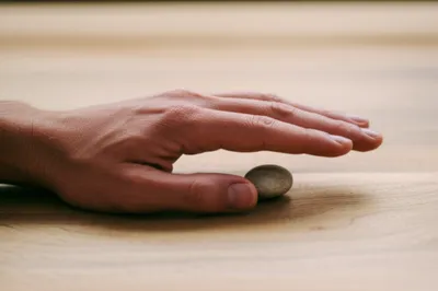 Illustration palms - Image 1