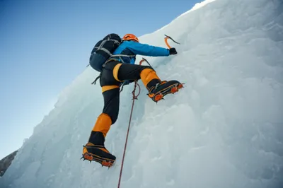 Illustration clawed - Image 1