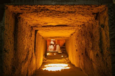 Illustration fix - Image 1