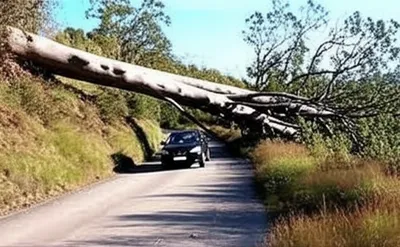 Illustration obstructed - Image 1