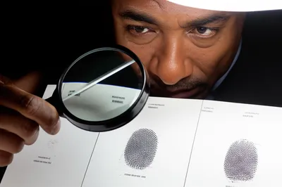 Illustration verifying - Image 1