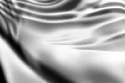 Illustration fly - Image 1