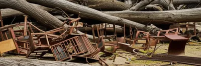 Illustration lumber - Image 1