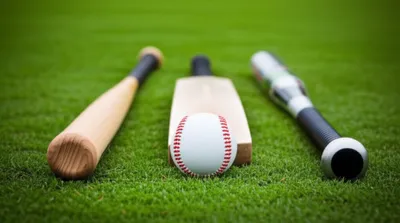 Illustration bats - Image 1