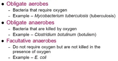 Illustration obligate - Image 2