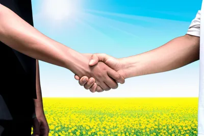 Illustration sate - Image 1