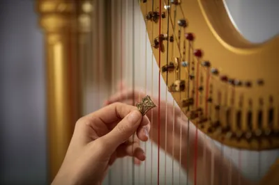 Illustration fescue - Image 1