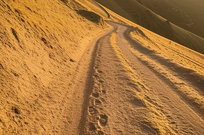 Illustration paces - Image 1