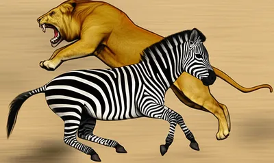 Illustration round - Image 1