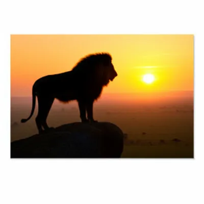 Illustration dominance