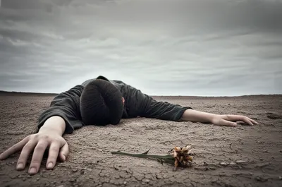 Illustration prostrate - Image 1