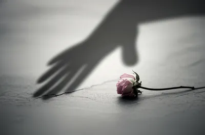 Illustration abuses - Image 1