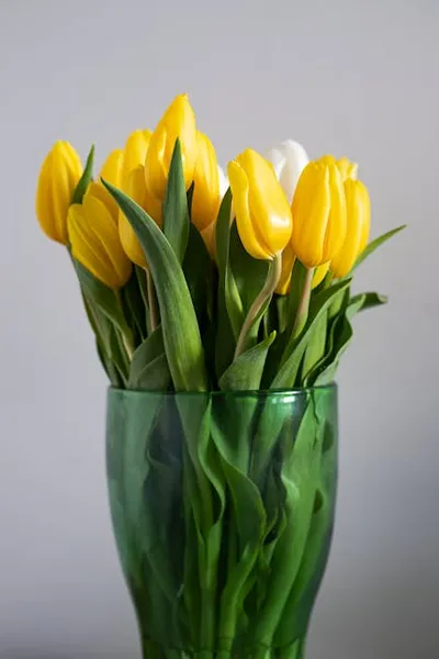 Illustration tulips - Image 2