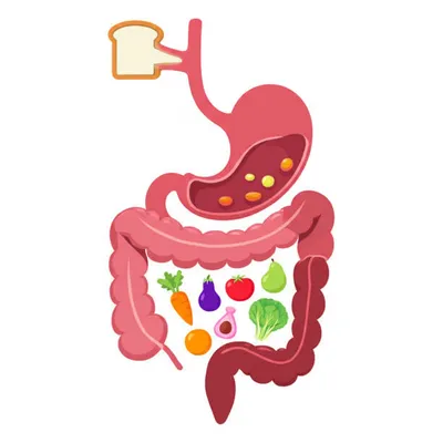 Illustration concoction - Image 1