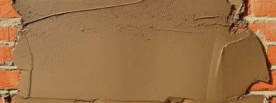 Illustration browning - Image 1