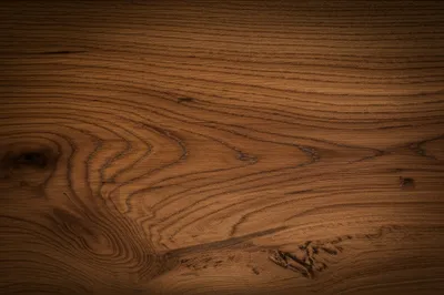 Illustration oak - Image 1