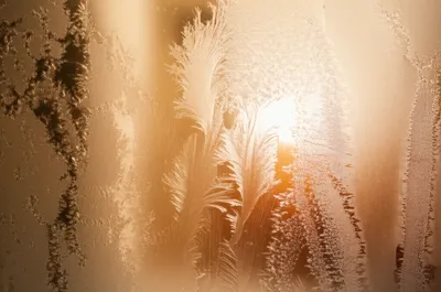 Illustration frosting - Image 1