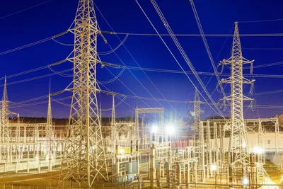 Illustration feeder - Image 1