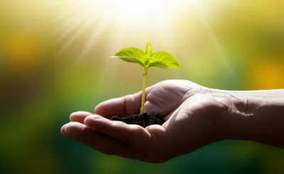 Illustration warranting - Image 1