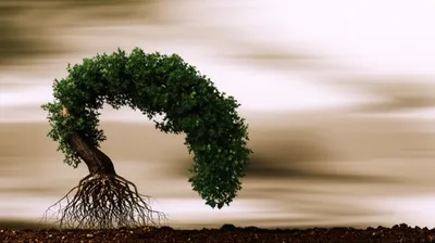 Illustration resists - Image 1