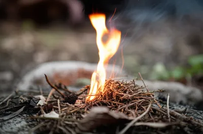 Illustration lightest