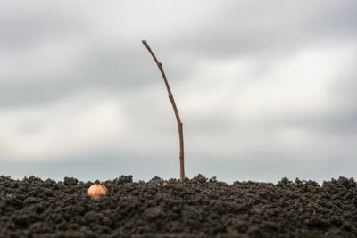 Illustration sleeps - Image 1