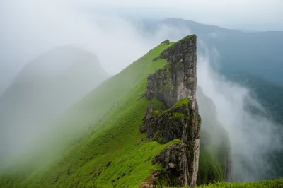 Illustration brew - Image 1