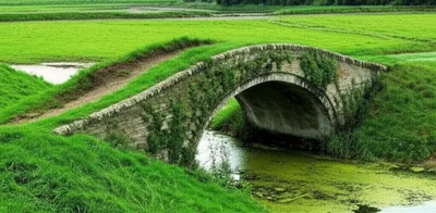 Illustration bunny - Image 1