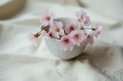 Illustration niceties - Image 1